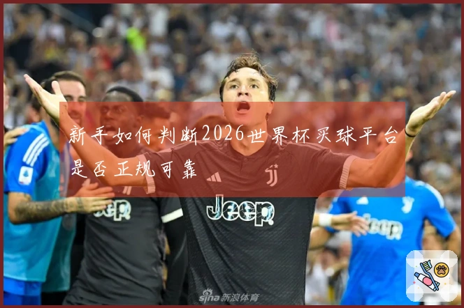 新手如何判断2026世界杯买球平台是否正规可靠